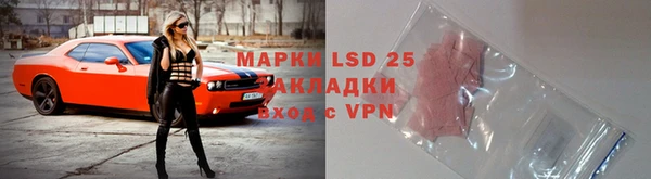 спайс Бородино