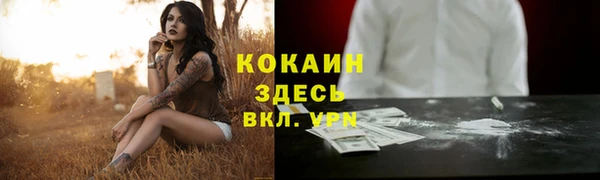 спайс Бородино
