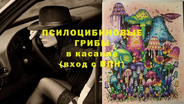 спайс Бородино