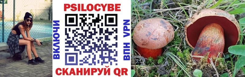 Галлюциногенные грибы Cubensis  купить   Бор 